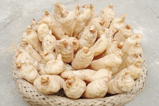 天麻佳品 貴州代表——“德江天麻”連續(xù)兩年獲三次業(yè)內(nèi)最高榮譽(yù) ()