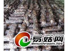 食用菌菌棒图1