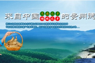 2014年第三屆全國(guó)天麻會(huì)議獲多家企業(yè)贊助支持 ()
