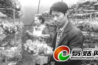 進(jìn)村當(dāng)“菌”老板 農(nóng)技員們“跑起來(lái)” ()