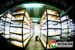 恩施：實(shí)現(xiàn)蟲草有機(jī)硒化和富硒蟲草標(biāo)準(zhǔn)化生產(chǎn) ()