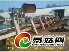 山东聊城杏鲍菇养殖蘑菇网尺寸,食用菌网格网架图1