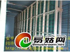 山东聊城杏鲍菇养殖蘑菇网尺寸,食用菌网格网架图3