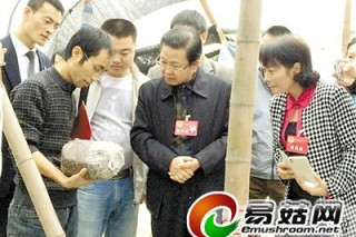 工科男轉(zhuǎn)行種蘑菇 獲8萬(wàn)元無(wú)息貸款 ()