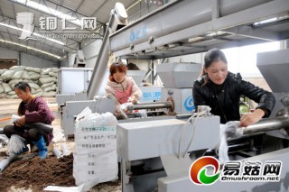 高樓坪鄉(xiāng)：力爭(zhēng)建成全省最大的食用菌生產(chǎn)基地 ()