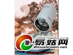 冠亚水分测定仪   食用菌水分测定仪  培养料水分测定仪图3