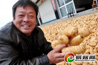 天麻樓主方太江 ()