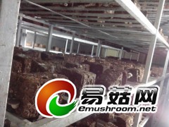 食用菌移动培养床及架图1
