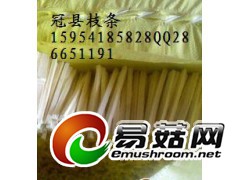 筷子菌种枝条图1