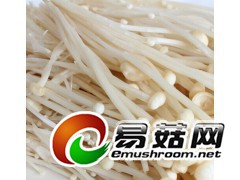 求购鲜香菇,杏鲍菇,金针菇图1