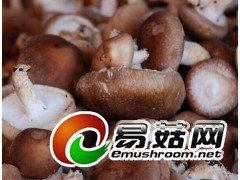 长年收购蘑菇 木耳图1