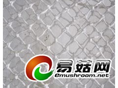 求购双孢菇菇床尼龙网图1