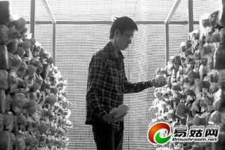澄海“菇少”很“吃香”  “80后”青年培植食用菌發(fā)展“農(nóng)家樂” ()