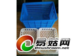 塑料筐图1