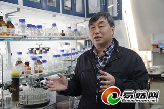 北京王賀祥：心系農(nóng)民的蘑菇科學家 ()