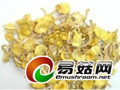 长期大量收购榆黄菇干品，出口级，能够支持重金属  农残检测 ！图1