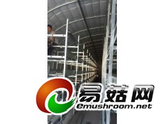 培养架 出菇架图3