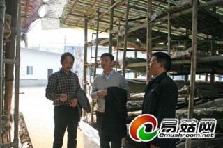 四川長(zhǎng)寧“中國長(zhǎng)裙竹蓀之鄉(xiāng)”發(fā)展新亮點(diǎn) ()