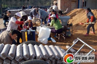寧強(qiáng)菇農(nóng)建起了標(biāo)準(zhǔn)化食用菌示范園 ()