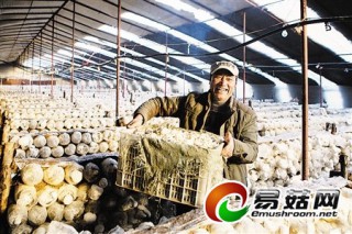 薊縣食用菌基地華北地區(qū)最大 ()