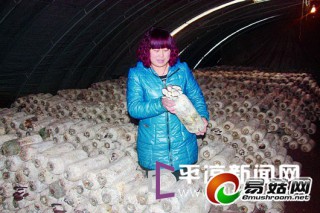 平?jīng)鍪腥A亭縣大力發(fā)展食用菌生產(chǎn) ()