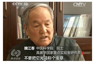 央視焦點(diǎn)訪談：冬蟲夏草亂象叢生 買錯(cuò)了可能從保品變毒品 ()