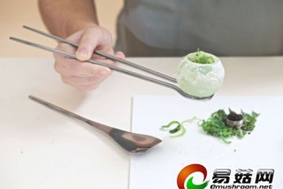 讓菌類“吃掉”塑料 然后人類把菌類吃掉 ()