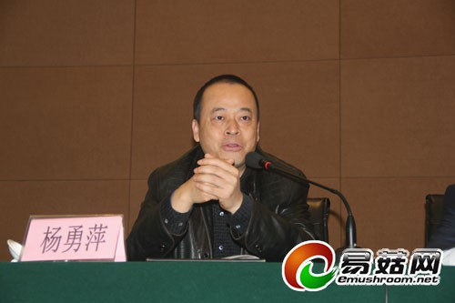 5食用菌分会监事长、上海雪榕生物科技股份有限公司董事长杨勇萍