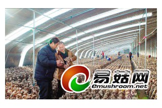 薊縣食用菌基地創(chuàng)收超億元 ()