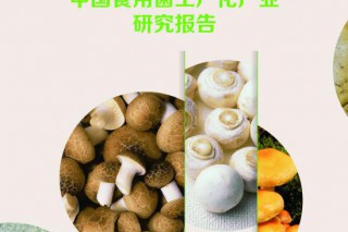 《2013中國食用菌工廠化產(chǎn)業(yè)研究報告》正式出版 ()