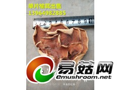 榆耳干品，榆耳正规厂家，自产自销的榆耳，自家种植榆耳批发榆耳图1