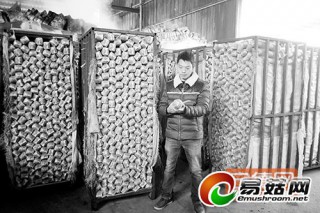 食用菌料包工廠化生產(chǎn)商機無限 ()