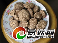 干香菇批发,干香菇行情图1