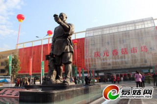 全球食用菌采購(gòu)交易中心“中國(guó)香菇城”在慶元正式營(yíng)業(yè) ()