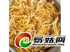 江苏徐州大量供应盐渍黄金针菇图1
