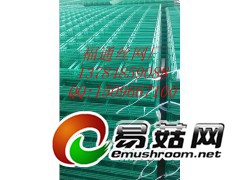 杏鲍菇工厂化网格栽培架 出菇网片福通丝网厂图2