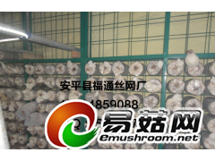 杏鲍菇工厂化网格栽培架 出菇网片福通丝网厂图1