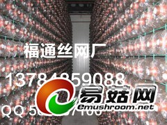 食用菌出菇网格 网架图1