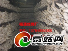 食用菌出菇网格 网架图2