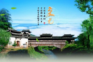 浙江庆元“中国香菇城”市场迁建项目掀起年底冲刺战