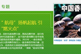 本網(wǎng)推出《中國香菇城“ 航母”揚(yáng)帆起航 引爆菇業(yè)經(jīng)濟(jì)“燃火點(diǎn)”》專題 ()