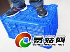 装80斤蔬菜水果周转筐，610塑料周转筐，610蘑菇周转筐图2