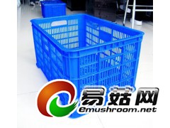 装80斤蔬菜水果周转筐，610塑料周转筐，610蘑菇周转筐图3