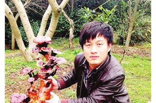 跳回農(nóng)門的80后“靈芝哥” ()