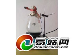 洛阳菇农液体菌种发酵设备-电磁摇床图1