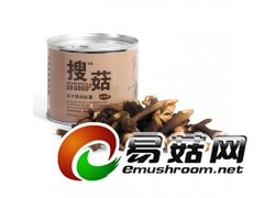 公司直销黑鸡枞冻干菌干图1