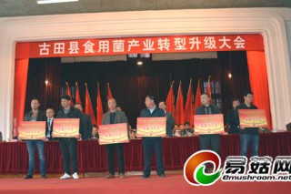 古田縣百萬獎金鼓勵食用菌企業(yè)轉型升級 ()