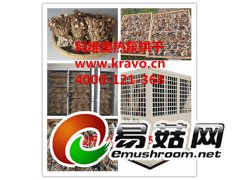 茶树菇烘干机 汕头市科维奥茶树菇干燥设备图1