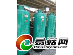 立式锅炉 食用菌灭菌锅 节能锅炉 食用菌灭菌图2
