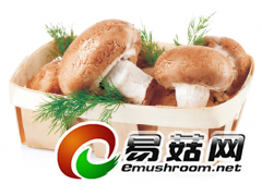 LED食用菌补光灯图1